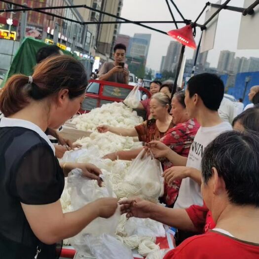 粉丝粉条  跑江湖地摊展会土豆圆圈粉 山药土豆圈圈粉早市夜市热卖产品批发