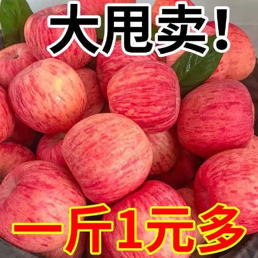 临猗县青苹果  【电商】新鲜脆甜红富士冰糖心丑苹果一件包邮