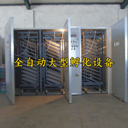 德州养殖孵化机  农科全自动孵化机中型孵化器鸡鸭鹅微电脑孵蛋器8448枚孵化箱
