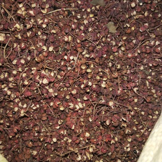 西安花椒种子  自家产的花椒！剩下的不多了！无公害绿色产品！