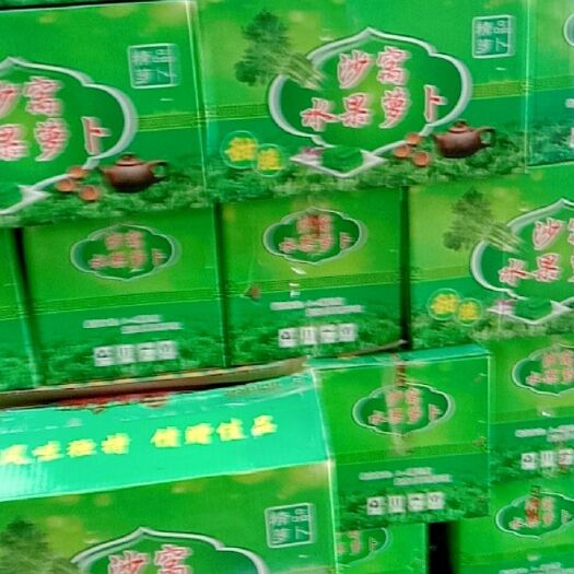 天津 天津水果萝卜，产地直发