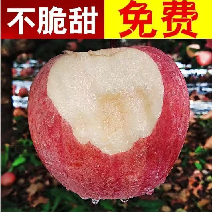 山西冰糖心丑苹果产地直供一件代发包邮