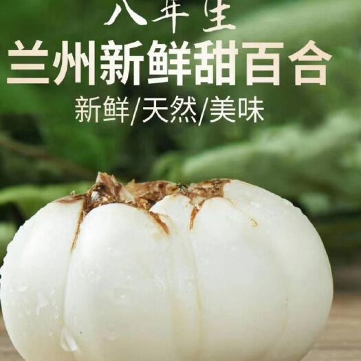 兰州兰州百合 3头皇甜百合大量上市 快递包邮 产地直供 现采现挖