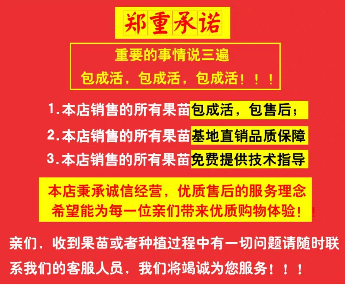 7年老店铺诚信经营品质保证石榴树苗突尼斯软籽果树当年结果盆栽