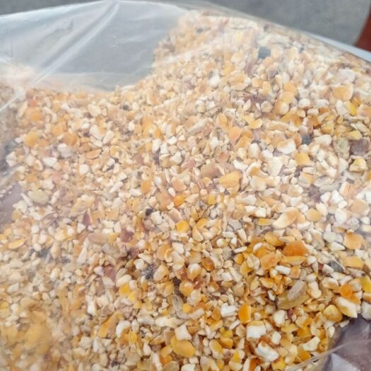 四会市爆裂玉米  玉米漏 碎玉米 玉米碎 干玉米 养殖专用饲料