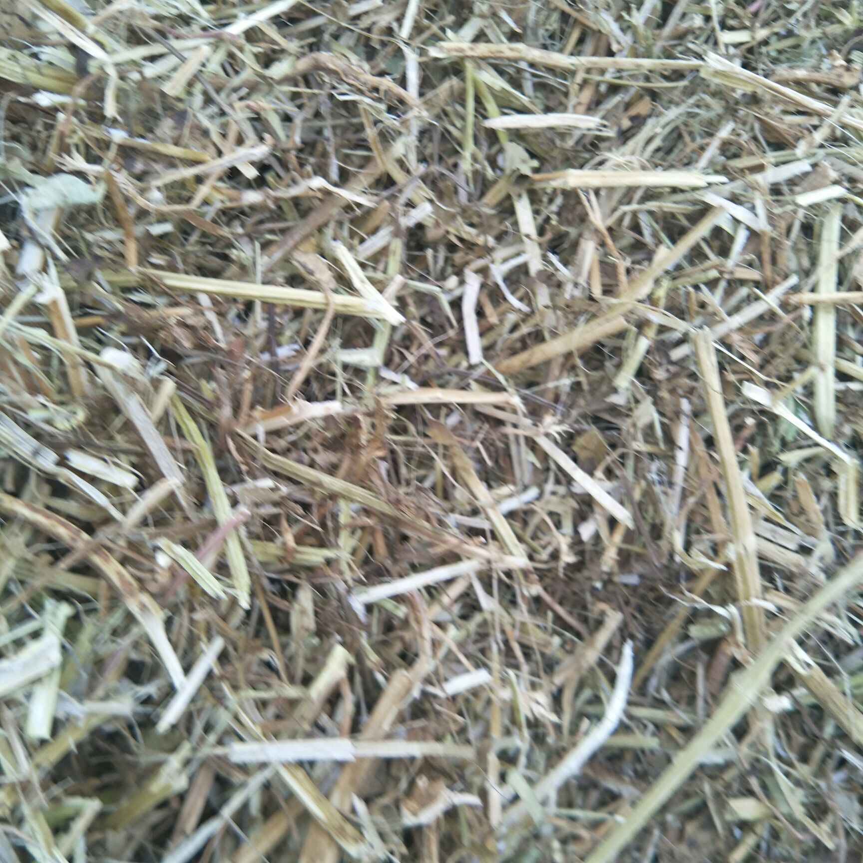 花生秧  ，牧康草业常年出售优质，牛草，羊草，，无土，无地膜