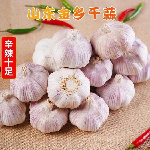 金乡县红皮蒜  金乡红皮大蒜长年供货，代储存，代加工，代发全国各地市场