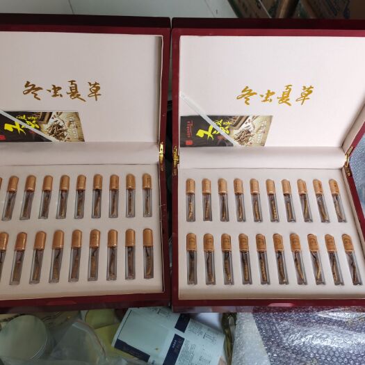 西宁冬虫夏草10-20根礼盒装5根/克