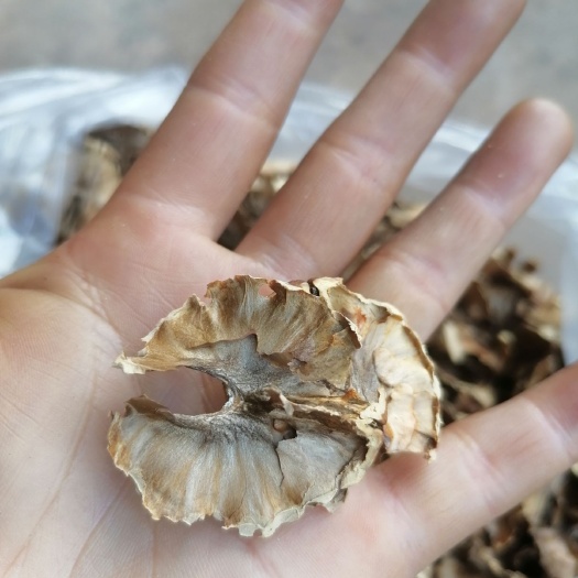 漾濞县百年老树核桃分心木。一手货源