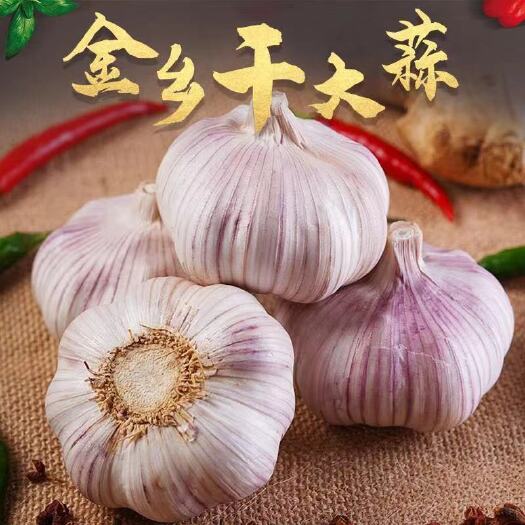 金乡县红皮蒜 正宗金乡大蒜 蒜米料，发市场