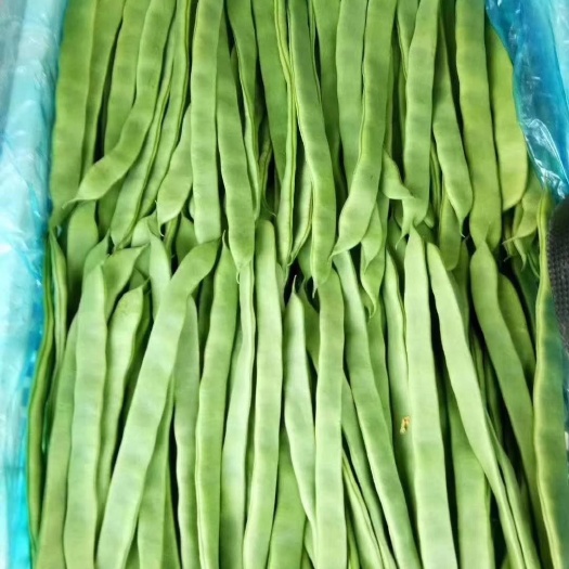 莘縣綠扁豆  莘縣扁青蕓豆。。。