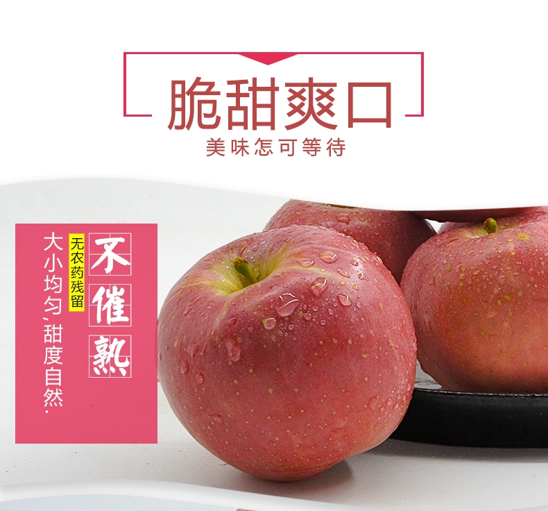 山西冰糖心丑苹果产地直供一件代发包邮