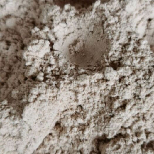 贵阳糯高粱粉