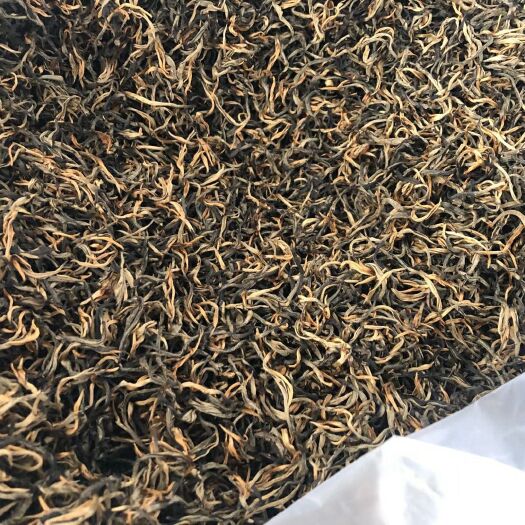 英德市古树红茶  英红九号无污染绿色有机英德红茶