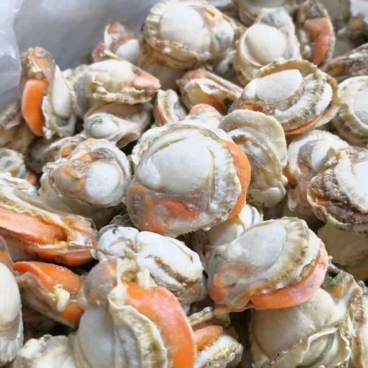 连云港20-40扇贝肉   大量现货   不包冰  不泡药