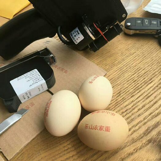 绵阳普通鸡蛋 食用 箱装