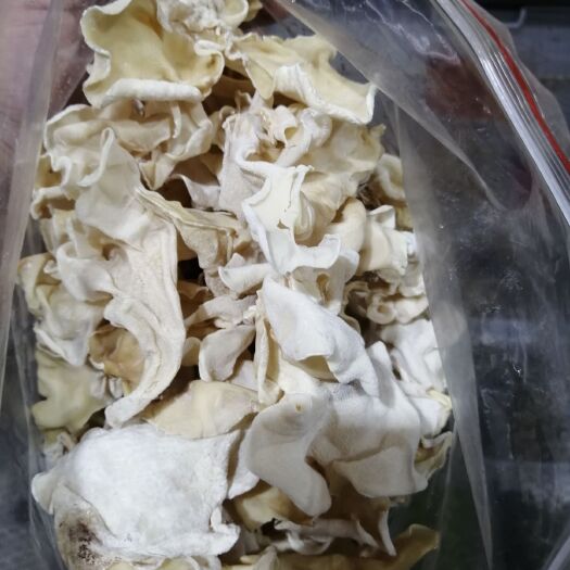 长沙县白木耳（玉耳）大个