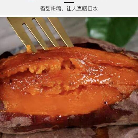 蜜薯 西瓜红红薯香甜河南沙地密薯一件代发唐心山芋