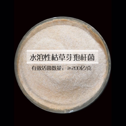 邯郸菌肥  淡紫拟青霉 枯草芽孢杆菌哈茨木霉菌 地衣芽孢杆菌EM