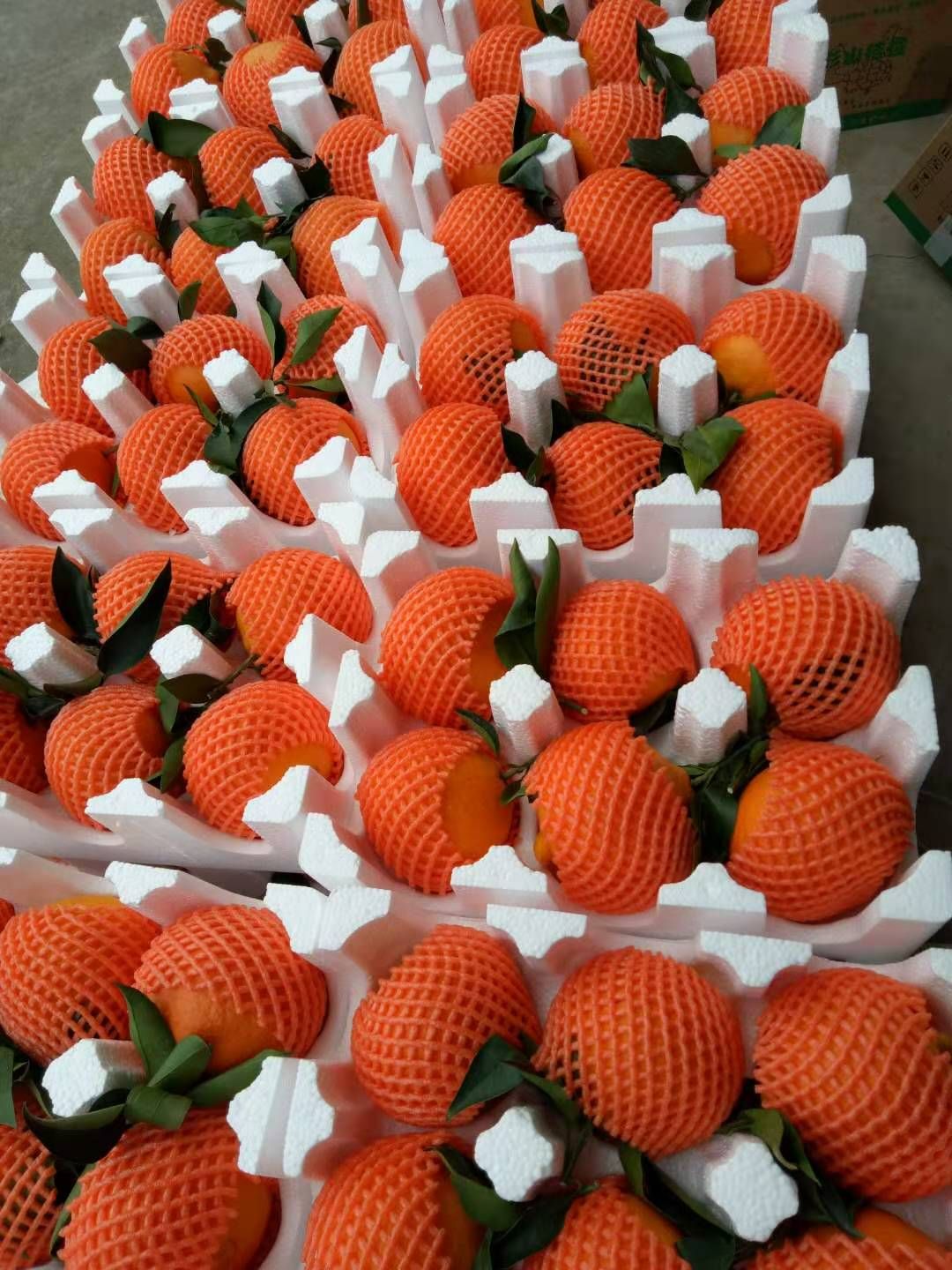 爱媛橙  橘子橙子爱媛果冻橙爱媛38号红美人当季水果产地