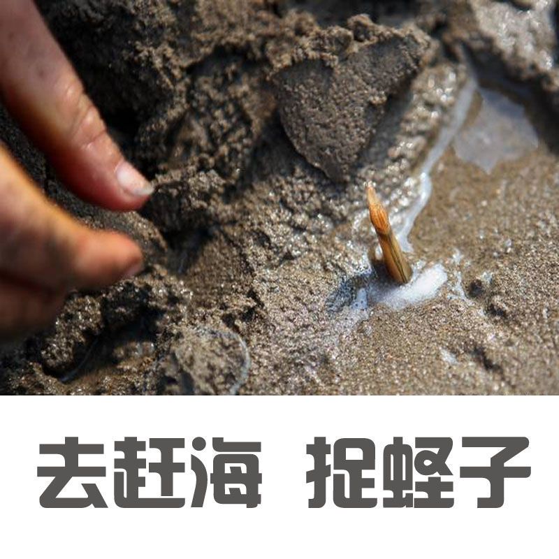  钢农用工具耙子刮板耙子刮粪晒谷耙户外大棚除雪耙推雪铲搂草耙