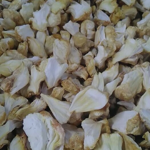 海林市干猴头菇  猴头菇块批发 东北猴头菇种植基地 一手货源批发