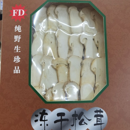 【热卖】松茸菇菌菇干货5cm以下未开伞松茸菌鲜松茸批发