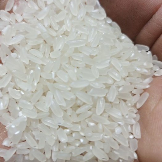 前郭县东北大米 咱自己家的江水大米