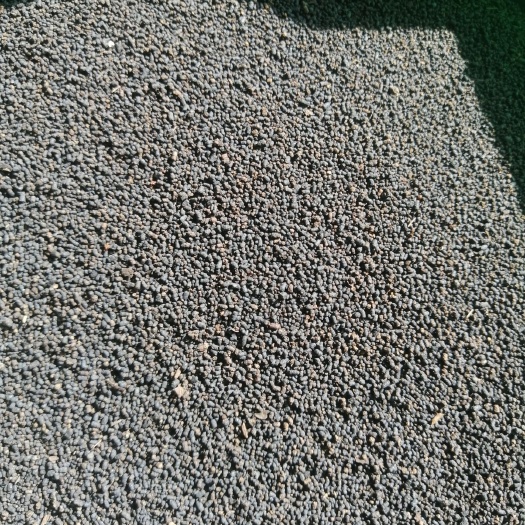 黎平县虫茶 虫茶养身茶 2014年虫茶 虫屎茶，