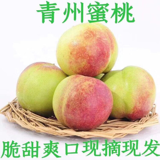 青州市【青州老树冬雪小蜜桃】 桃子 非水蜜桃 非黄桃 现摘现发