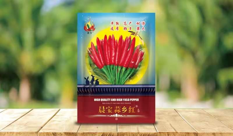 金乡县尖椒种子 晨宝蒜乡红 辣椒种子 高辣
