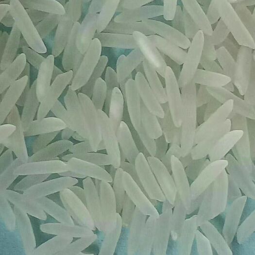 澧县盛泰优018大米 一等品 晚稻 籼米 