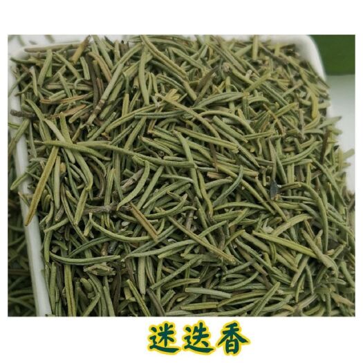 玉林迷迭香  艾菊 天然无硫中药材干货 欧洲非洲源产地批发零售