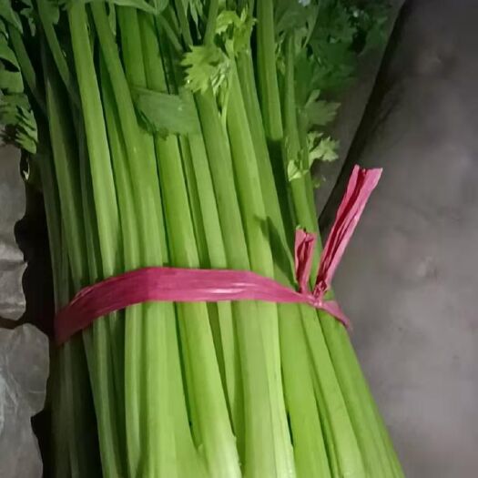 滦南县本合作社西芹量大，质量一流，价位低，望新老客户前来采购