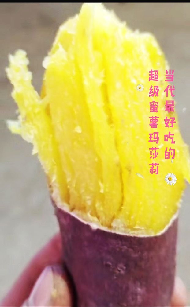 红薯  当代最好吃的超级蜜薯玛莎莉，浓香特爽甜如蜜，养生保健大美食。