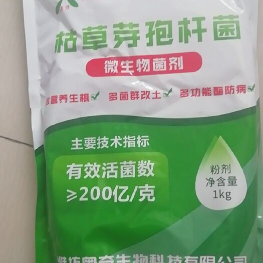 潍坊枯草芽孢杆菌200亿每克
