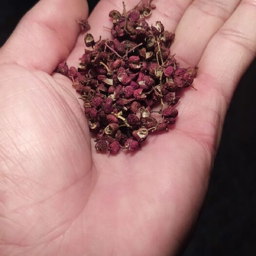 淄博红花椒 山东淄博花椒，优质优选
