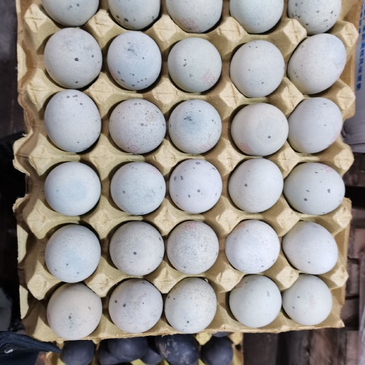 西安无铅皮蛋  湖北无铅松花蛋  糖心 硬心 鸡变蛋 鹌鹑松花蛋 鸡蛋
