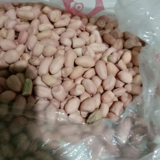 莒县带壳花生 带壳花生 干货 