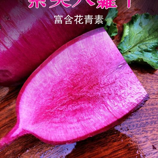 潍坊凤梨红心萝卜种子  全国包邮 可开发票