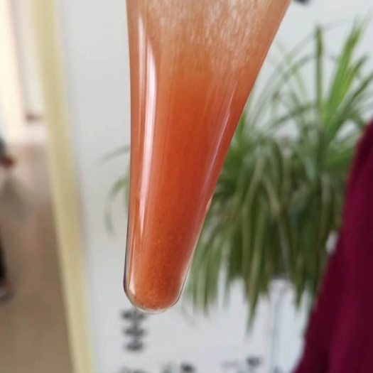 无棣县特种养殖饲料  丰年虫孵化率90.耐高温，出虫量3.5-4斤