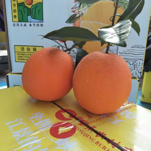 奉节奉节脐橙，自家种植现摘现发
