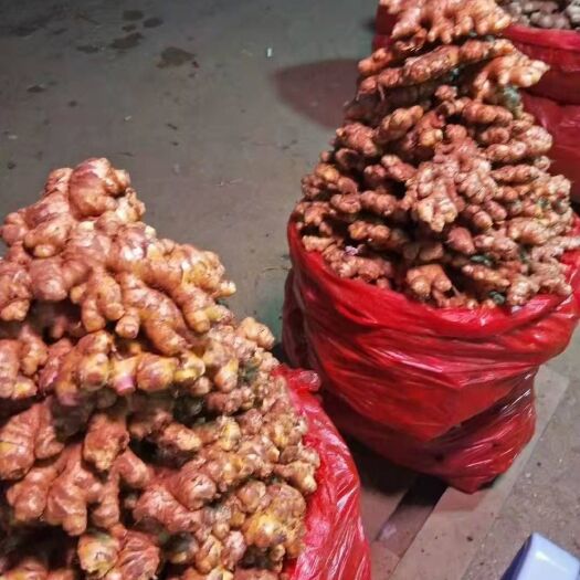信宜市肉姜 冼氏鸿福农副产品，个种个样姜都有，这些姜肉丰满，好靓姜