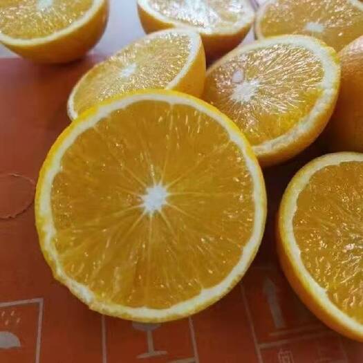麻阳县麻阳冰糖橙