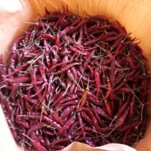 夏县 二荆条干辣椒，自产自销，品质保证