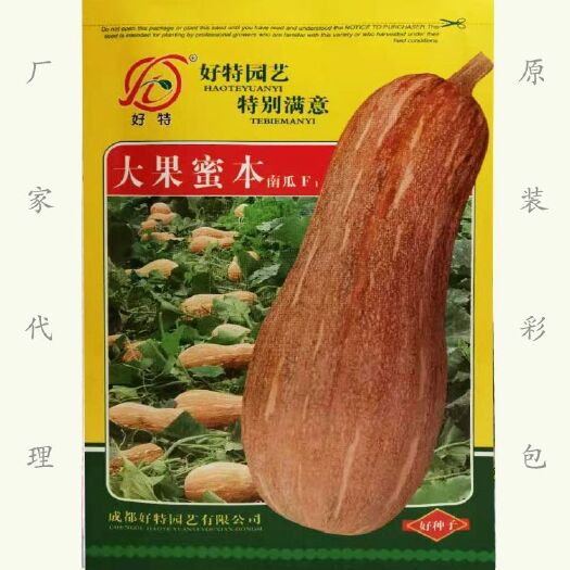 湘乡市大果蜜本南瓜种子 大果形南瓜种子 中熟杂交肉紧实粉甜耐储运