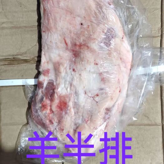 大厂县羊排  羊半排