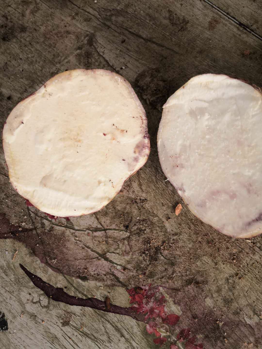 商薯19号 河南红薯