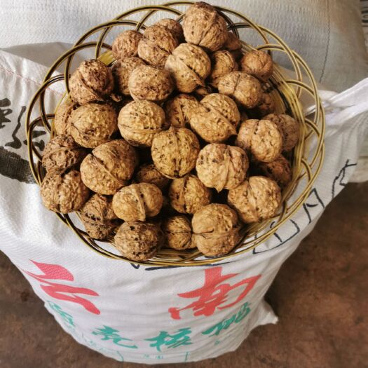 凤庆县大泡核桃  个头大，皮白仁子白，手选精品