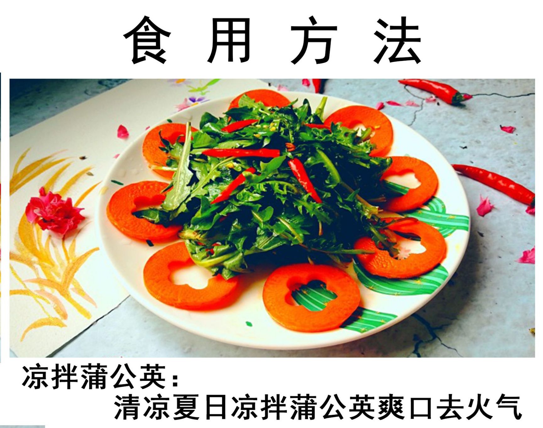 蒲公英种子种子，发芽率高